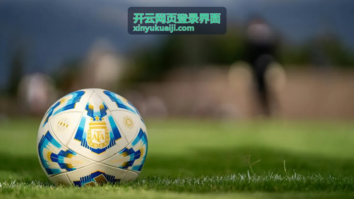 开云网页登录界面的账号输入区与安全验证区示意